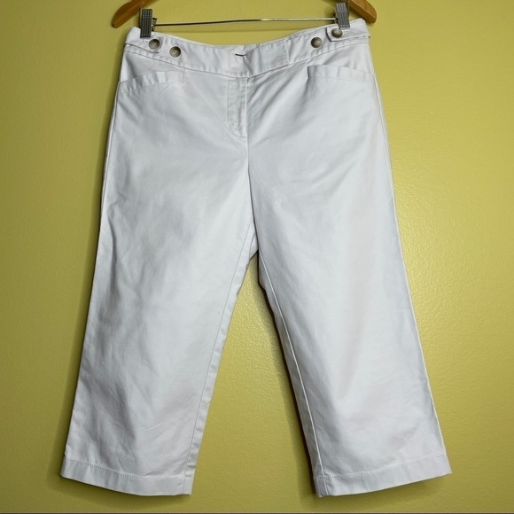 Ann Taylor Margo Beige Capri Pant - Picture 1 of 7